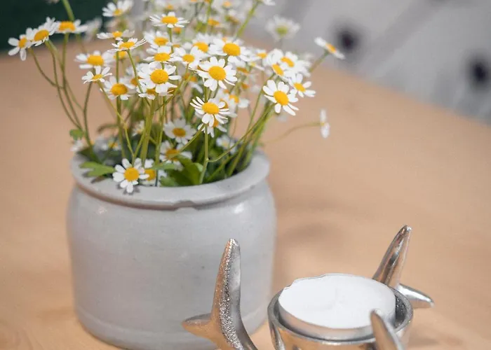 Sarlo * Sankt Anton am Arlberg